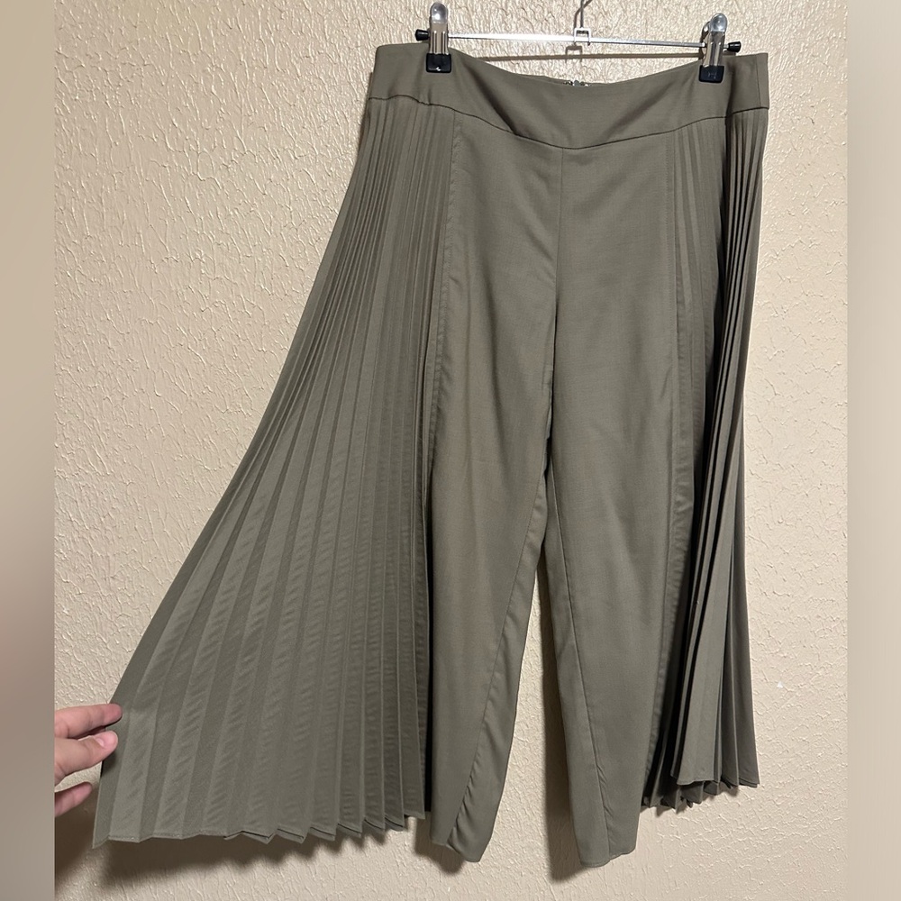 David Rodriguez 100%‎ Cashmere Pleated Wide Leg Cropped Pants Size 8 Silk Lining